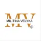 MV Company logo